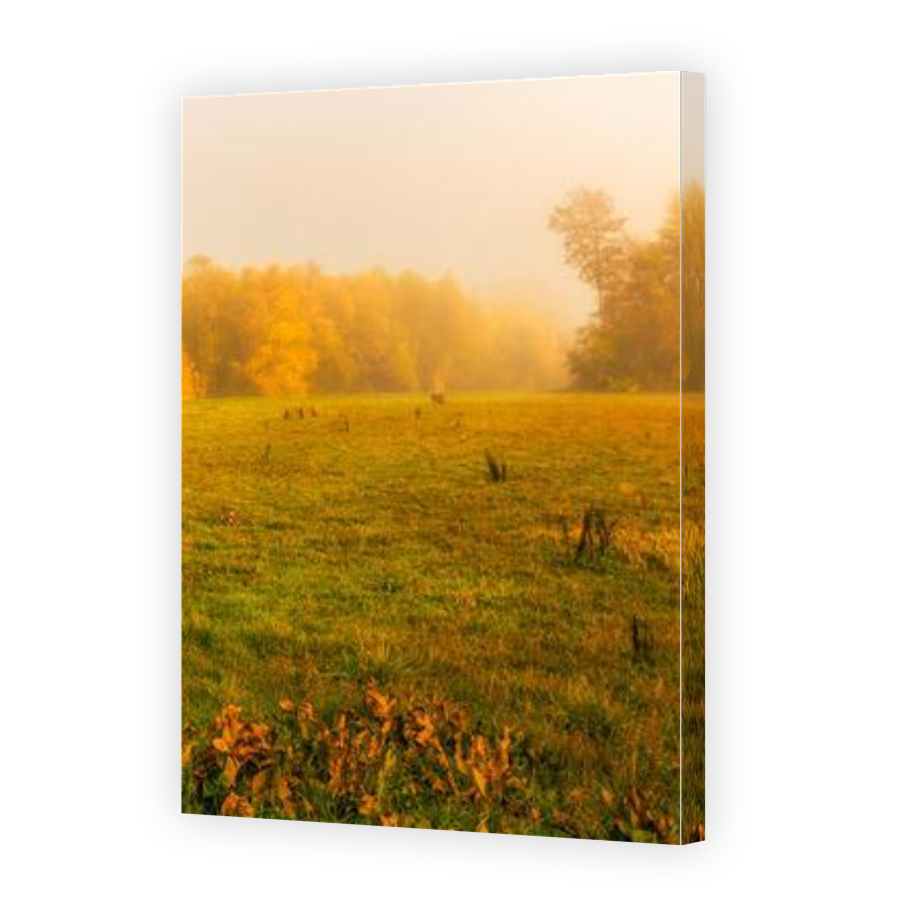 Thumbnail for Canvas - Gallery Canvas Wrap