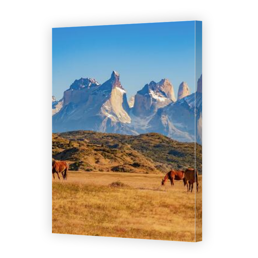 Thumbnail for Canvas - Gallery Canvas Wrap