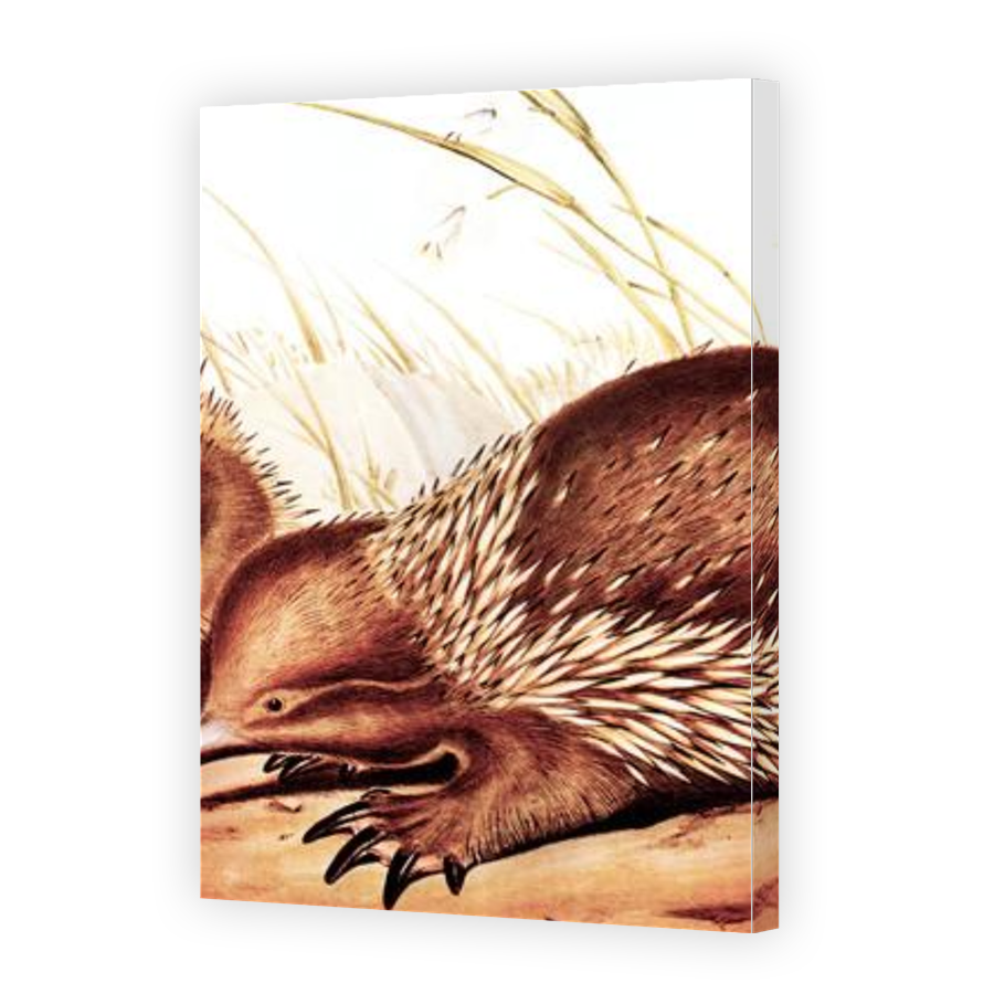 Thumbnail for Canvas - Gallery Canvas Wrap