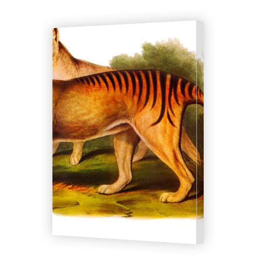 Thumbnail for Canvas - Gallery Canvas Wrap