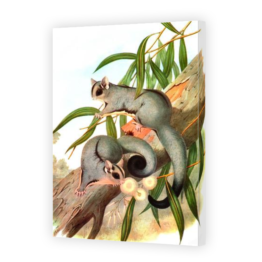 Thumbnail for Canvas - Gallery Canvas Wrap