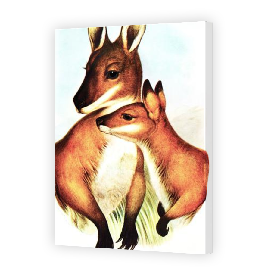 Thumbnail for Canvas - Gallery Canvas Wrap
