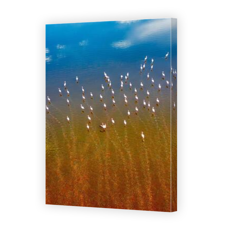 Thumbnail for Canvas - Gallery Canvas Wrap
