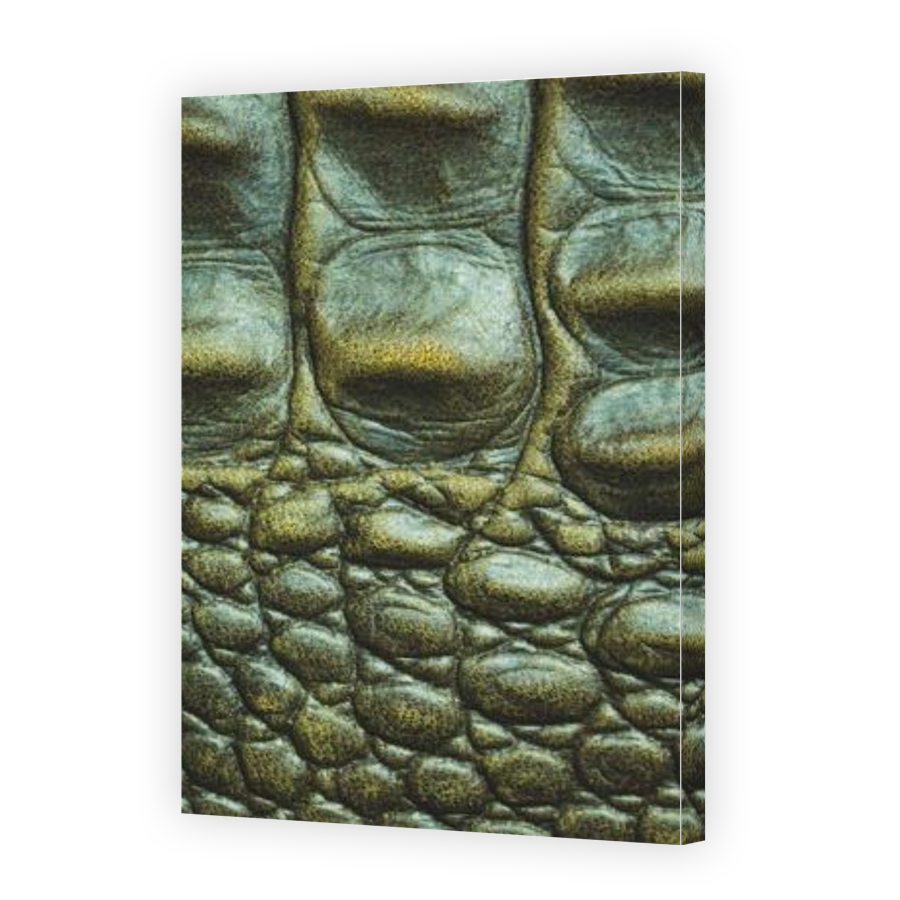 Thumbnail for Canvas - Gallery Canvas Wrap