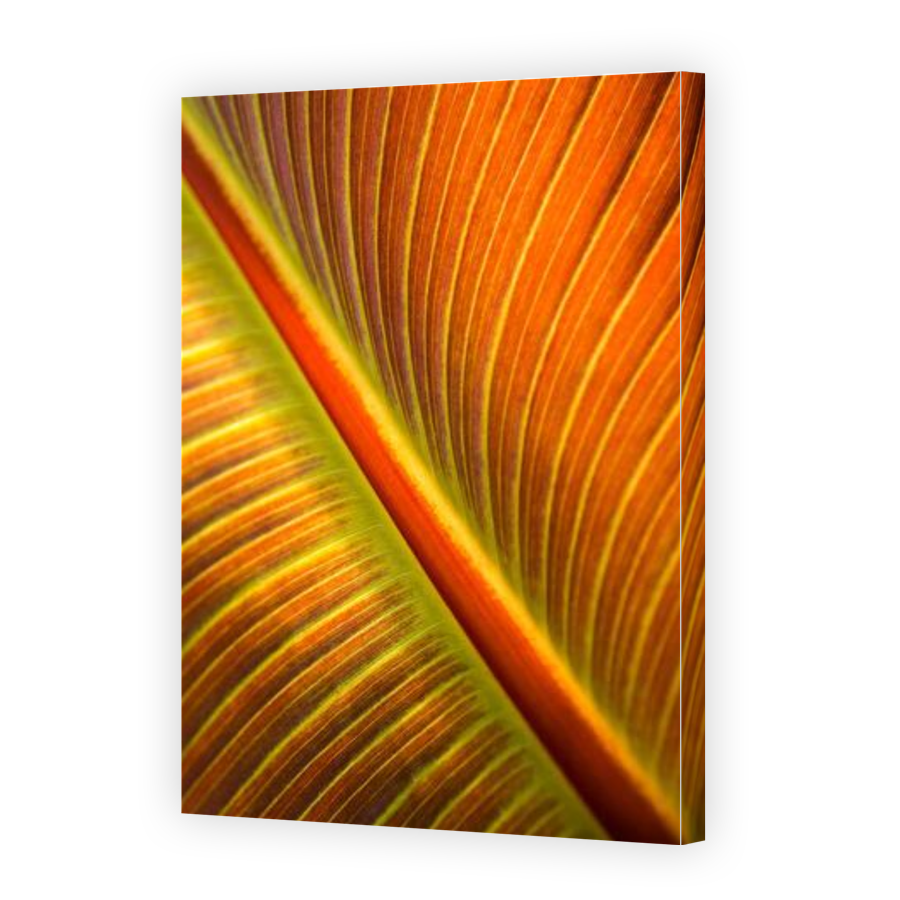 Thumbnail for Canvas - Gallery Canvas Wrap