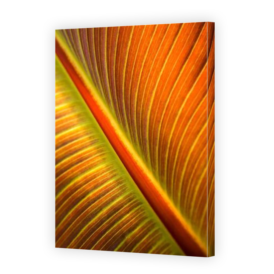 Thumbnail for Canvas - Gallery Canvas Wrap