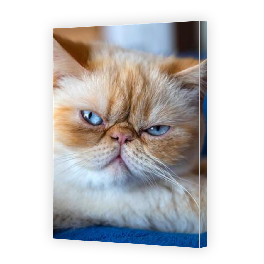 Thumbnail for Canvas - Gallery Canvas Wrap