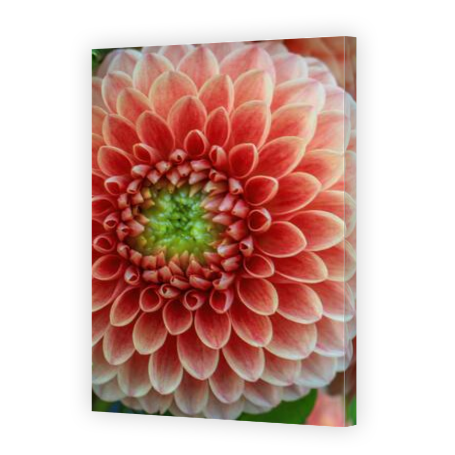 Thumbnail for Canvas - Gallery Canvas Wrap