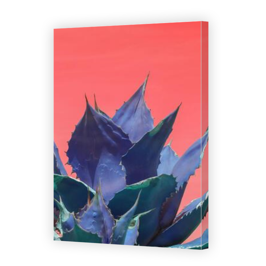 Thumbnail for Canvas - Gallery Canvas Wrap