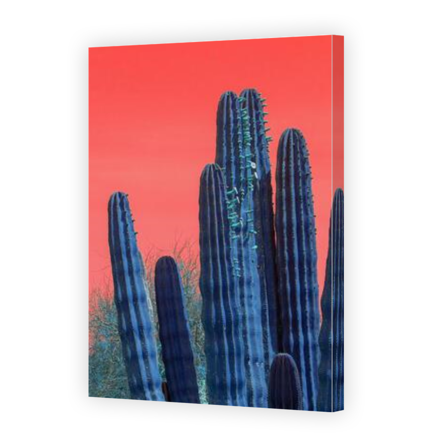 Thumbnail for Canvas - Gallery Canvas Wrap