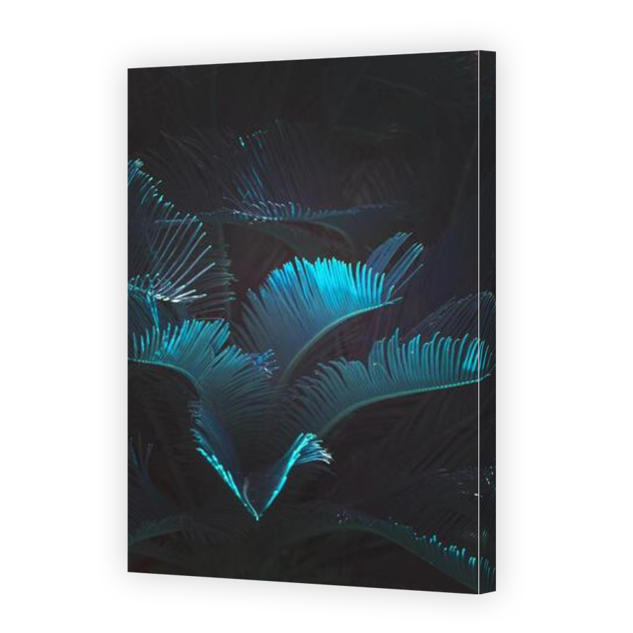 Thumbnail for Canvas - Gallery Canvas Wrap