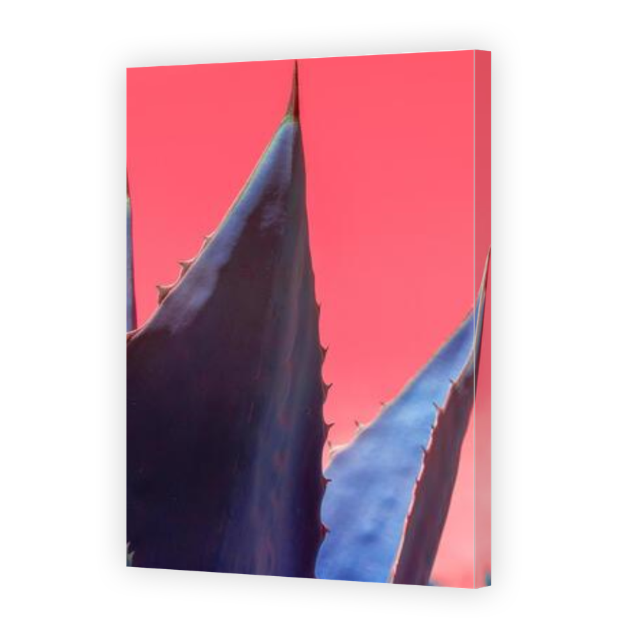 Thumbnail for Canvas - Gallery Canvas Wrap