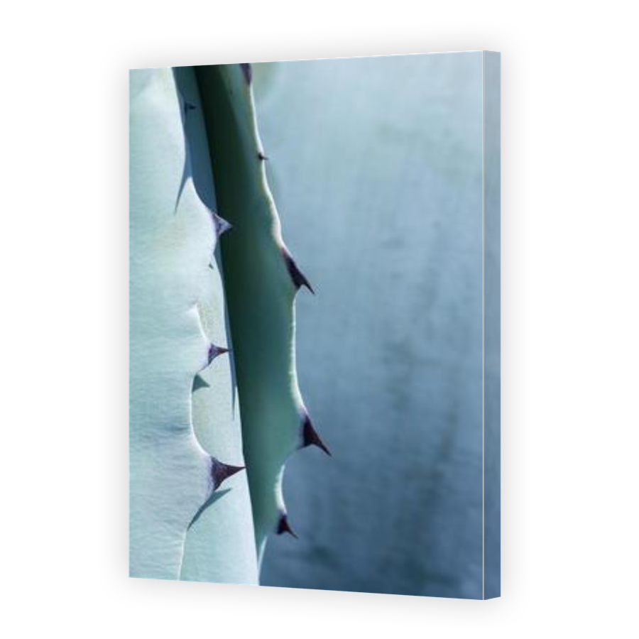 Thumbnail for Canvas - Gallery Canvas Wrap