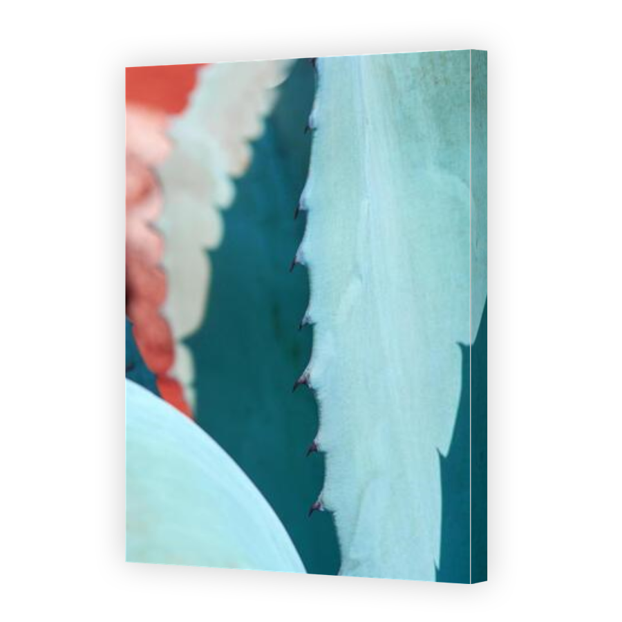 Thumbnail for Canvas - Gallery Canvas Wrap