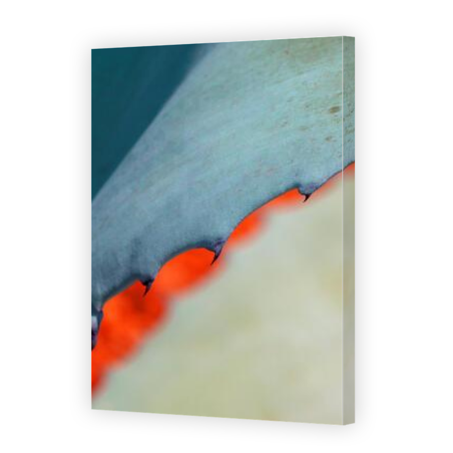 Thumbnail for Canvas - Gallery Canvas Wrap