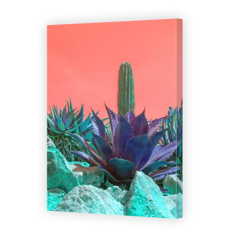 Thumbnail for Canvas - Gallery Canvas Wrap