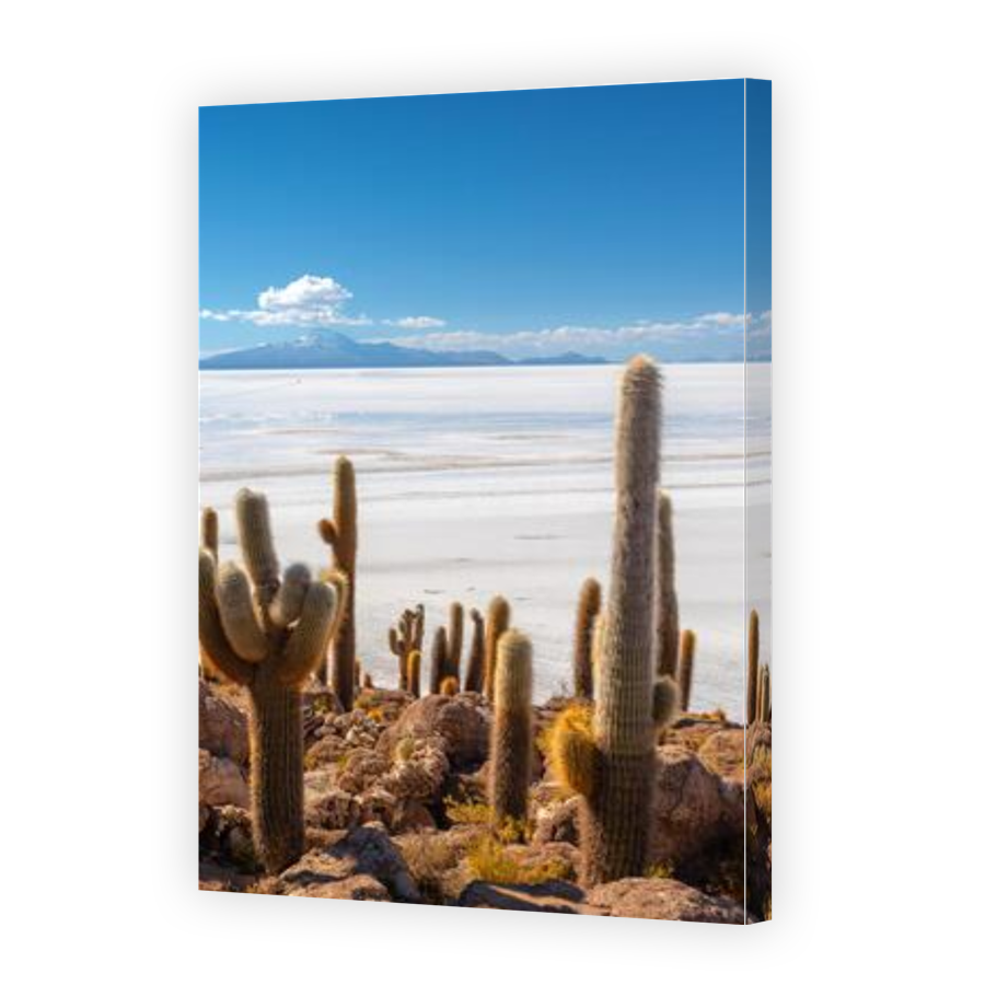 Thumbnail for Canvas - Gallery Canvas Wrap