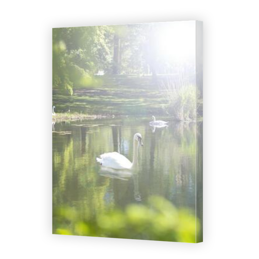 Thumbnail for Canvas - Gallery Canvas Wrap