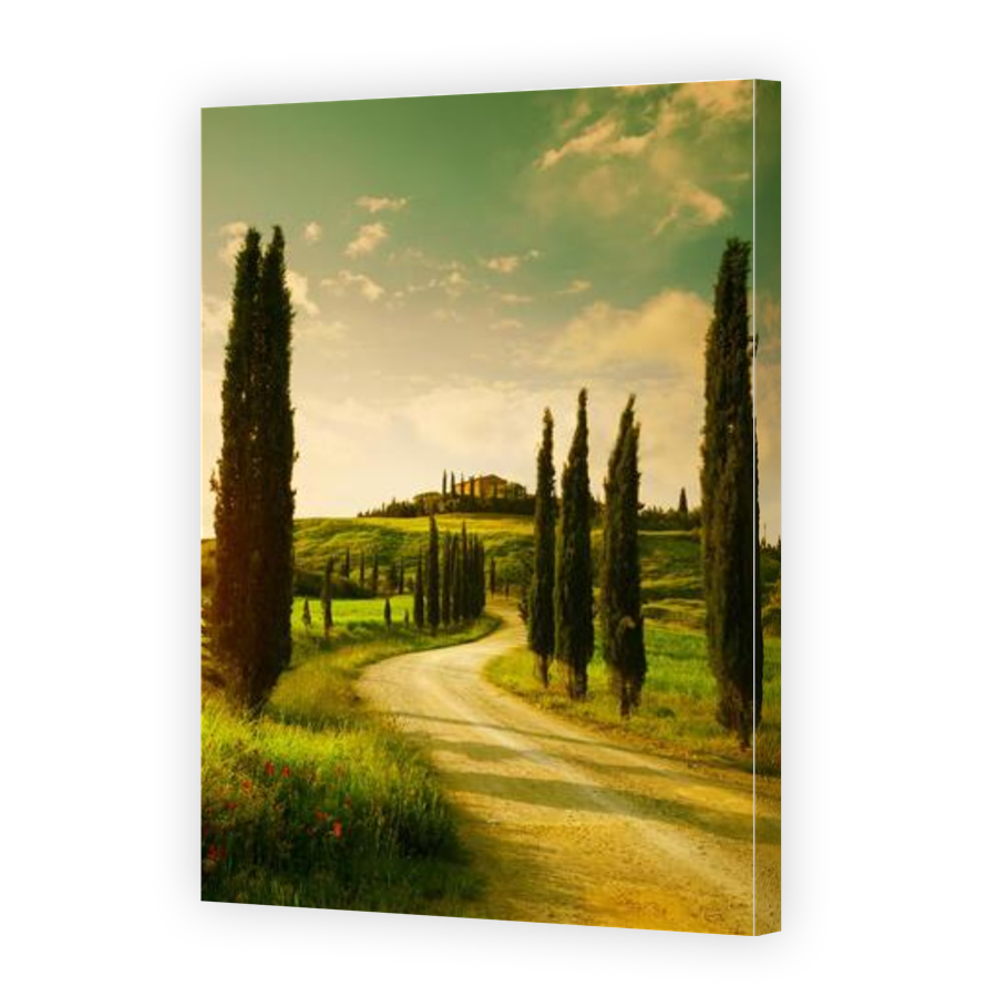 Thumbnail for Canvas - Gallery Canvas Wrap