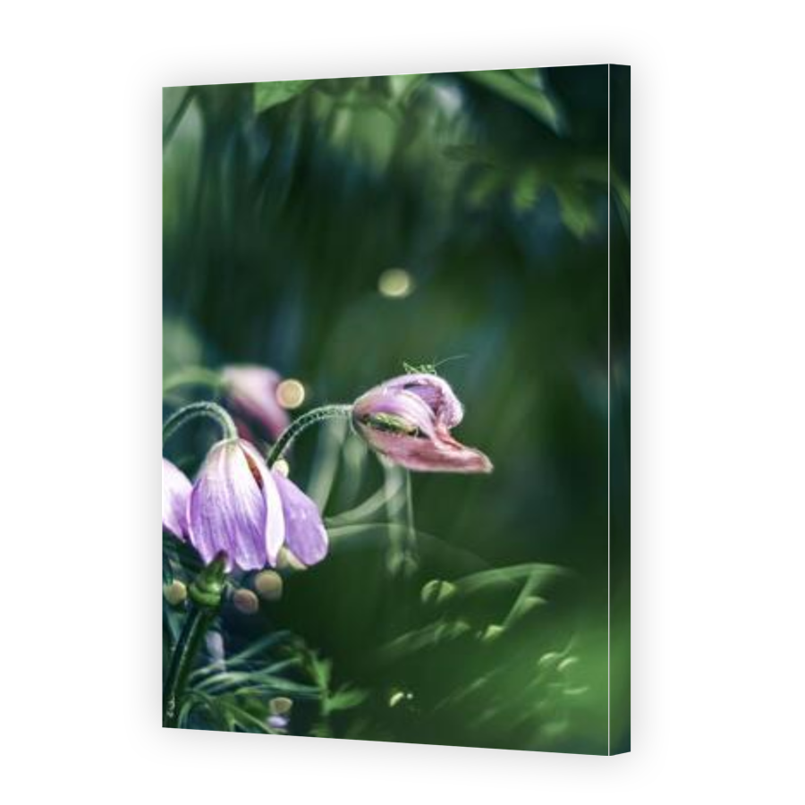 Thumbnail for Canvas - Gallery Canvas Wrap