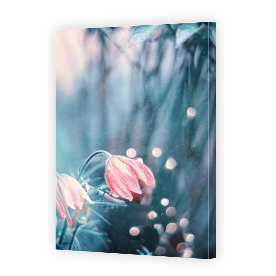 Thumbnail for Canvas - Gallery Canvas Wrap