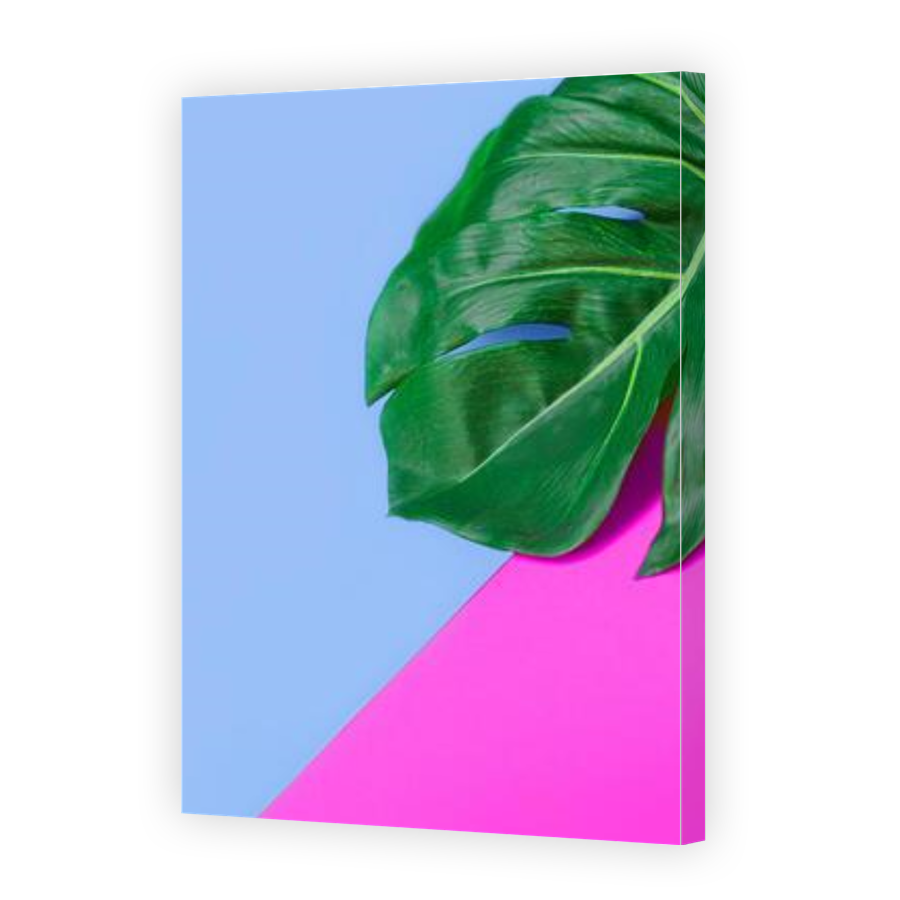 Thumbnail for Canvas - Gallery Canvas Wrap