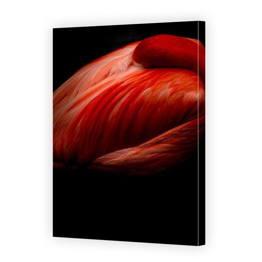 Thumbnail for Canvas - Gallery Canvas Wrap