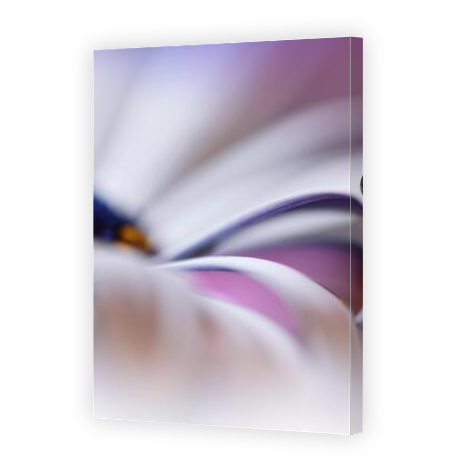 Thumbnail for Canvas - Gallery Canvas Wrap