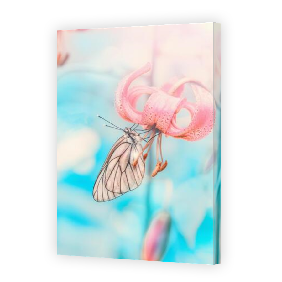 Thumbnail for Canvas - Gallery Canvas Wrap