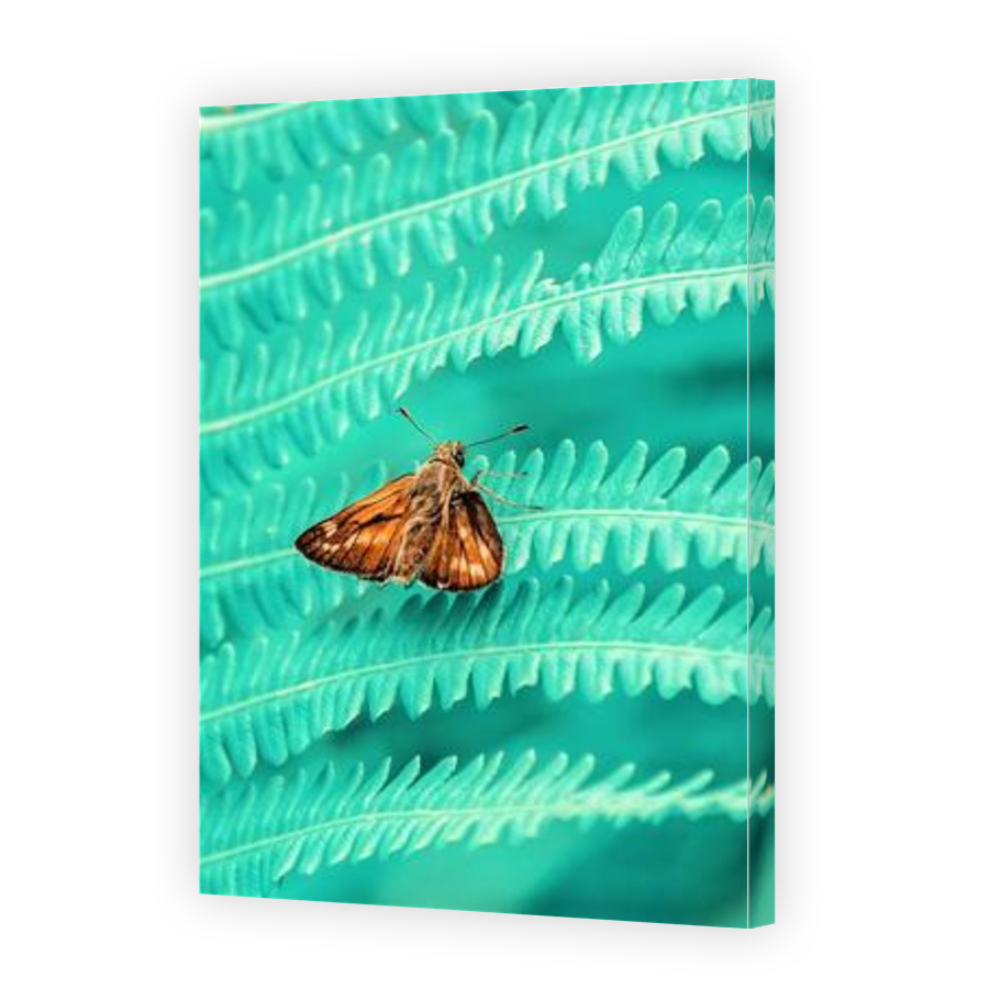 Thumbnail for Canvas - Gallery Canvas Wrap