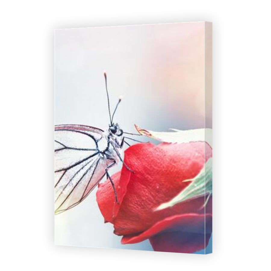 Thumbnail for Canvas - Gallery Canvas Wrap