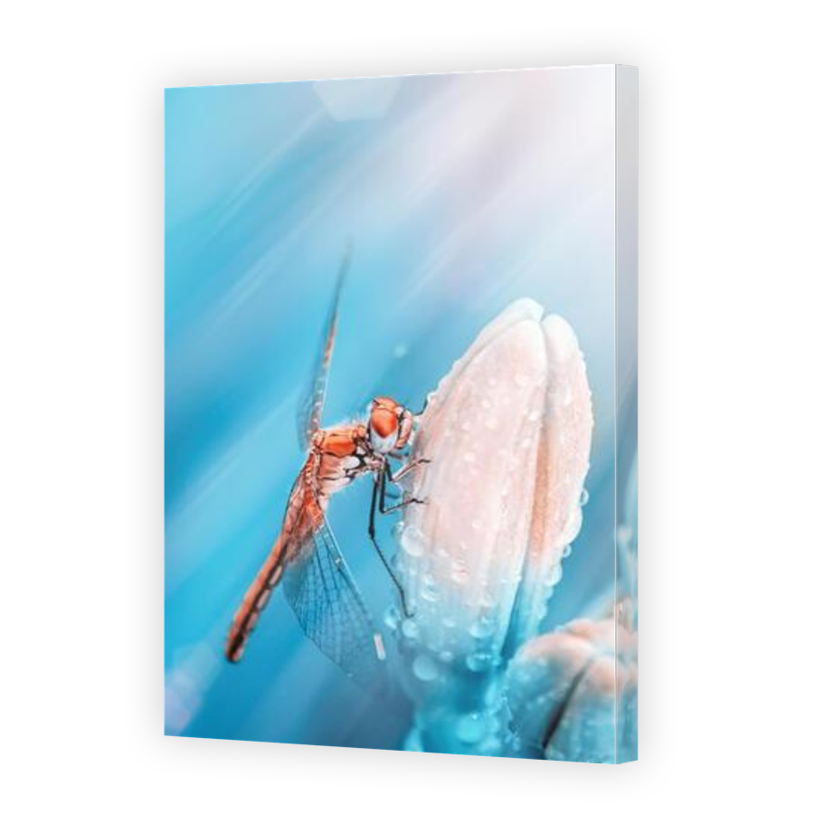 Thumbnail for Canvas - Gallery Canvas Wrap