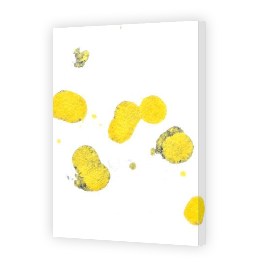 Thumbnail for Canvas - Gallery Canvas Wrap