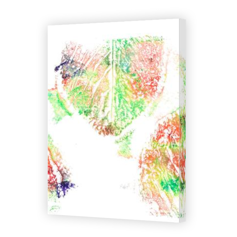 Thumbnail for Canvas - Gallery Canvas Wrap