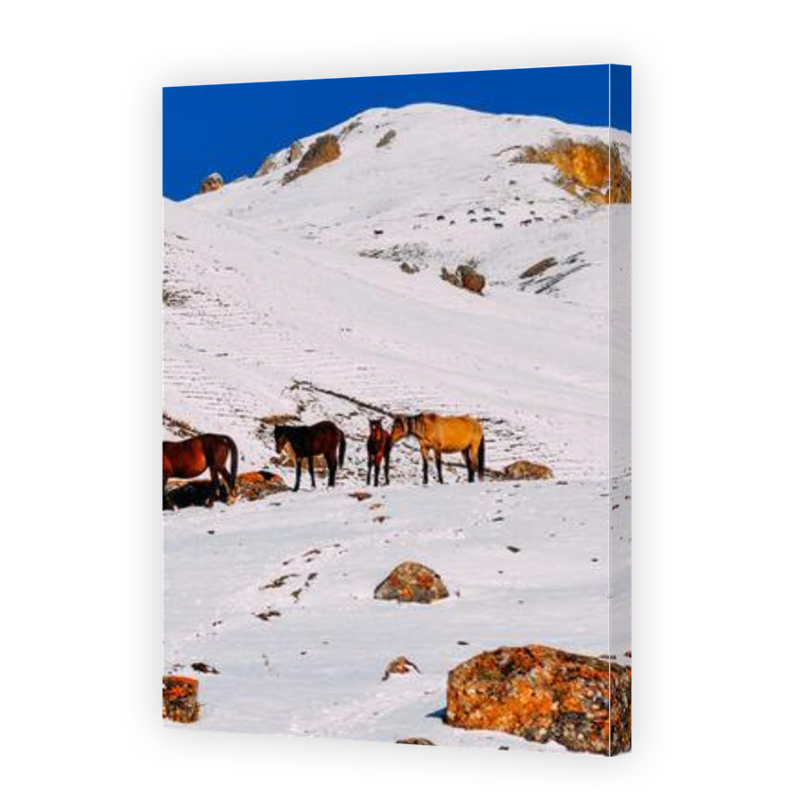 Thumbnail for Canvas - Gallery Canvas Wrap