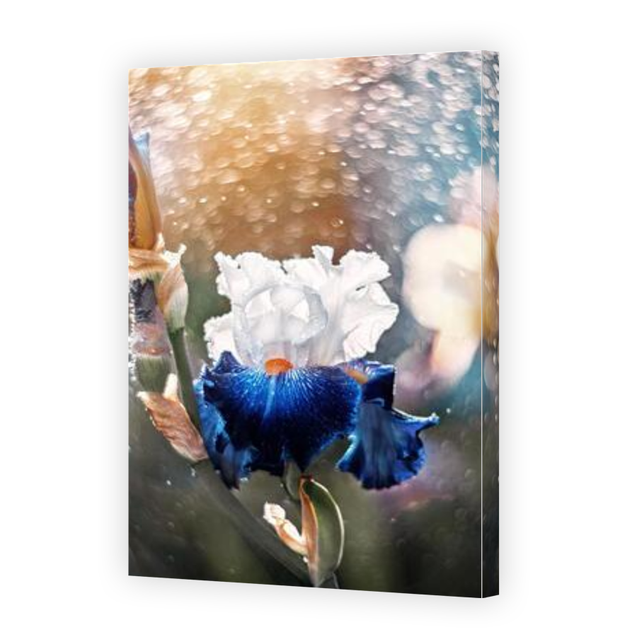 Thumbnail for Canvas - Gallery Canvas Wrap