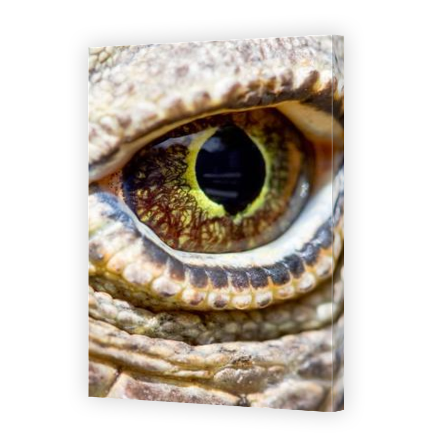 Thumbnail for Canvas - Gallery Canvas Wrap