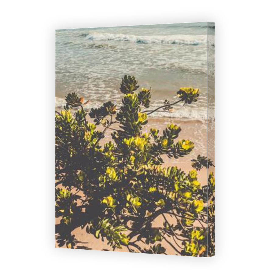 Thumbnail for Canvas - Gallery Canvas Wrap