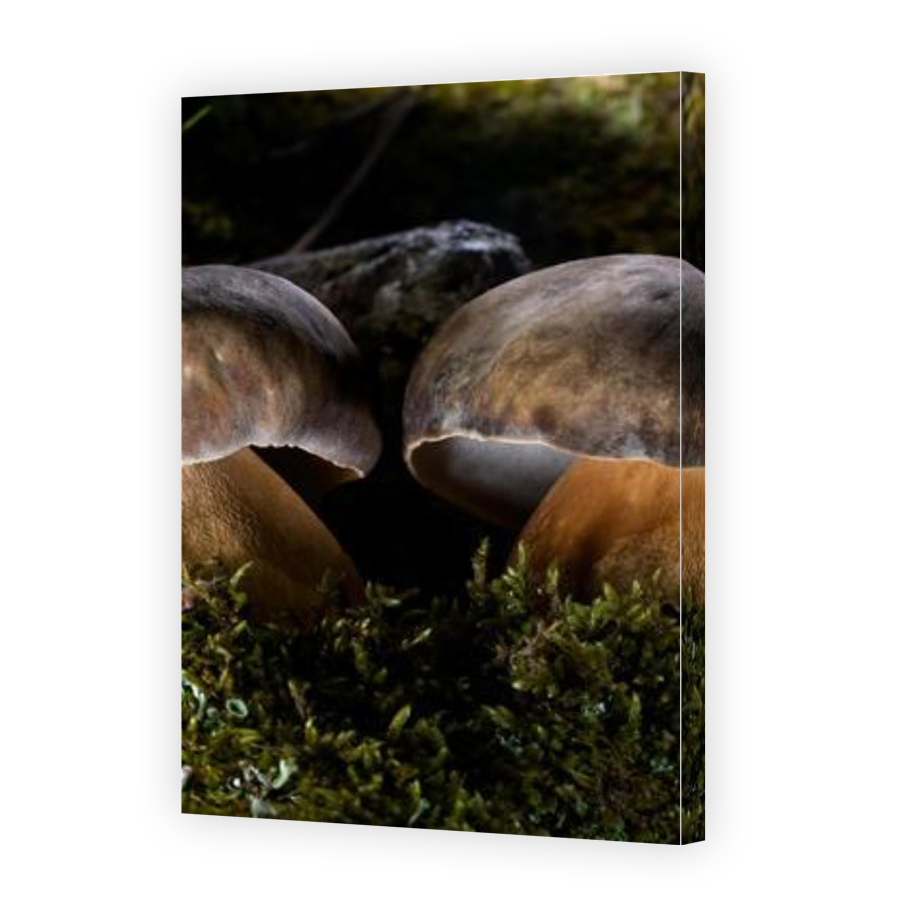 Thumbnail for Canvas - Gallery Canvas Wrap