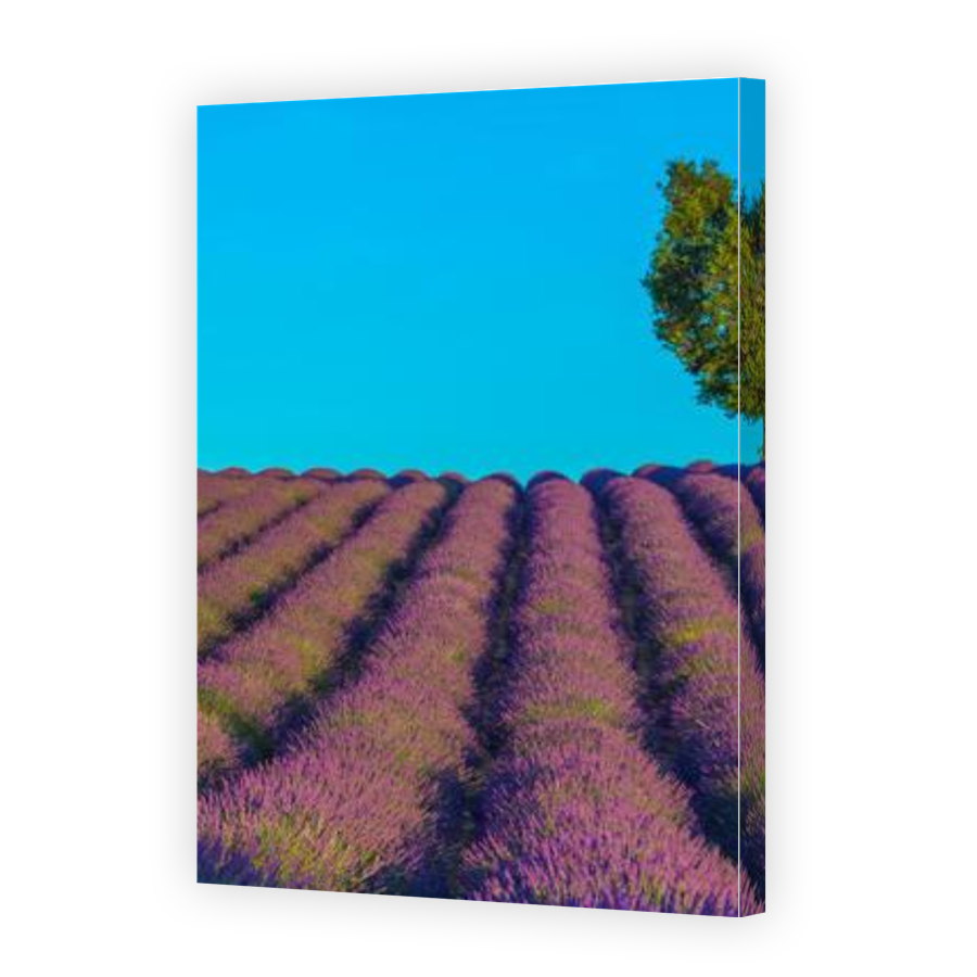 Thumbnail for Canvas - Gallery Canvas Wrap