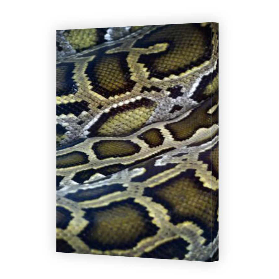 Thumbnail for Canvas - Gallery Canvas Wrap