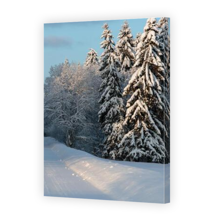 Thumbnail for Canvas - Gallery Canvas Wrap