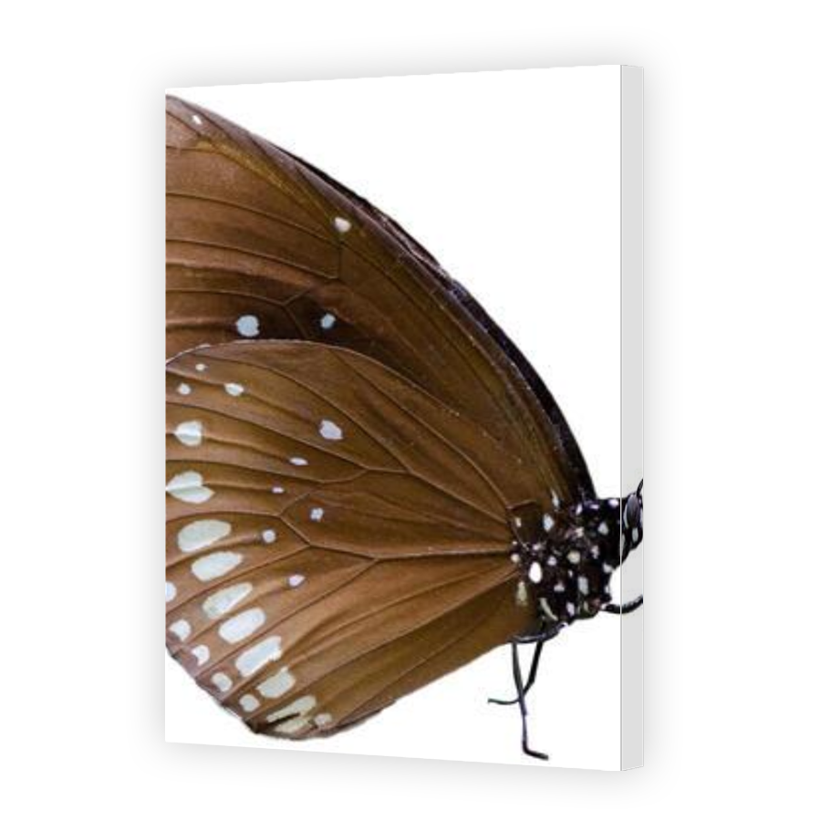 Thumbnail for Canvas - Gallery Canvas Wrap
