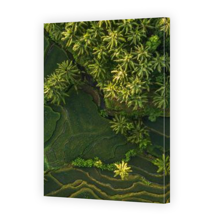 Thumbnail for Canvas - Gallery Canvas Wrap