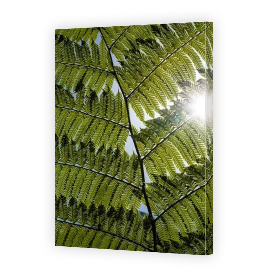 Thumbnail for Canvas - Gallery Canvas Wrap