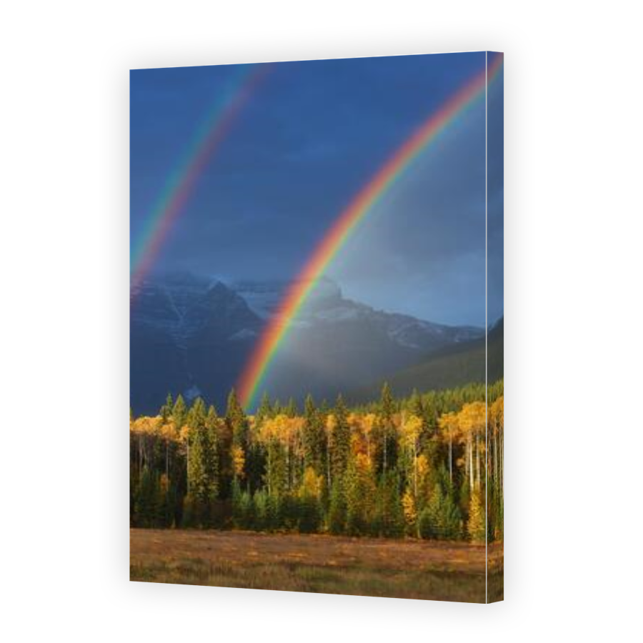 Thumbnail for Canvas - Gallery Canvas Wrap