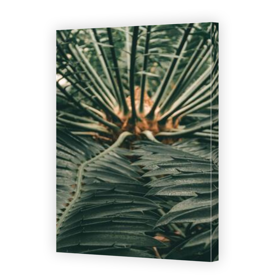 Thumbnail for Canvas - Gallery Canvas Wrap