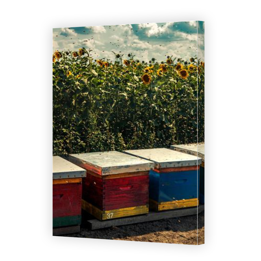 Thumbnail for Canvas - Gallery Canvas Wrap