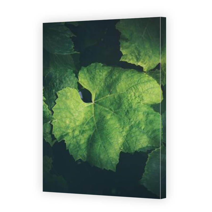 Thumbnail for Canvas - Gallery Canvas Wrap