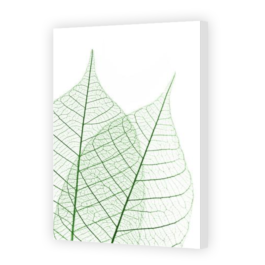 Thumbnail for Canvas - Gallery Canvas Wrap